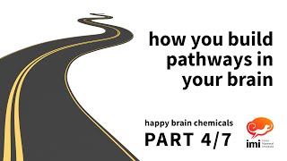 How You Build Pathways In Your Brain 4 of 7  Happy Brain Chemicals [upl. by Nrubyar]