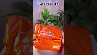 TEMU HAUL [upl. by Deloria]