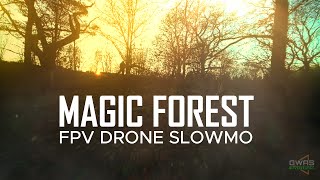 MAGIC FOREST  FPV Drone SlowMo video 4K [upl. by Hana]