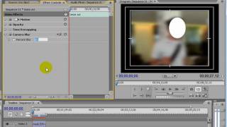 Tutorial Adobe Premiere  Desfocar rosto de uma Pessoa  Parte2 [upl. by Ainar51]