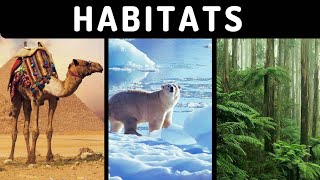 Habitats for kids Types of habitat terrestrial  Aquatic  Grassland Polar region Rainforest [upl. by Corwin]