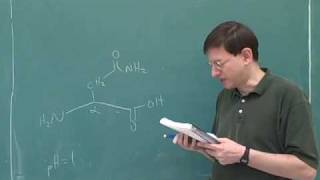 Organic chemistry Amino acids and peptides 6 [upl. by Steffen520]