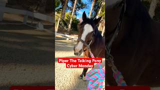 Free Piper content for Cyber Monday w EvanTheGroom horsesandhumor horse pony piperthepony [upl. by Kistner]