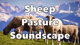 Sheep Soundscape  Atmosphere Soundscape [upl. by Harsho542]