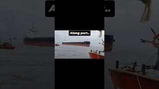 Alang ship breaking yard vlogsorts viralvideo viralshort ship trending [upl. by Ianteen]