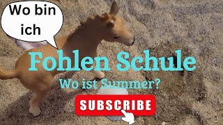 Fohlenschule Teil 3 Wo ist Summer [upl. by Rotow]