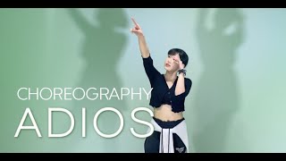 Hoody 후디  Adios 안녕히  choreography by ASE [upl. by Nylatsyrc723]