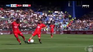 PEC Zwolle Vs Almere City FC 10 All Goals Results amp Extended Highlights 29092024 [upl. by Winson]