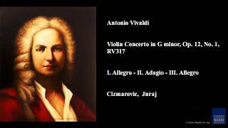 Antonio Vivaldi Violin Concerto in G minor Op 12 No 1 RV 317 [upl. by Arelus]