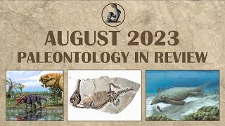 August 2023 Paleontology Month in Review [upl. by Tybie]