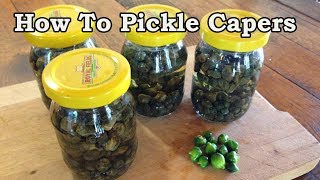 Living in Turkey How To Pickle Capers [upl. by Anaeirb]