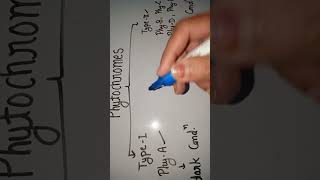 Types of phytochromes and activities in presence or absence of light [upl. by Daney]