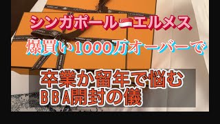 シンガポール エルメスHERMES購入 爆買い 1000万 オーバーで 卒業か残留で悩む B B A [upl. by Nawak]