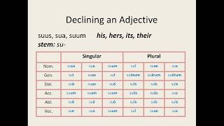 Latin for Beginners Lesson 10 FirstSecond Declension Adjectives [upl. by Osana]