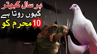 Kabootar 10 Muharram Ko Kiyo Rota Hai  Karbala Imam Hussain as  Mehrban Ali [upl. by Mohn]