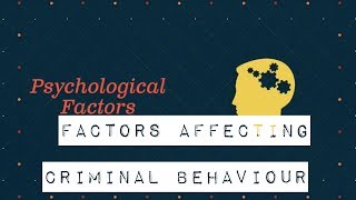 Factors affecting criminal behaviour [upl. by Ellon182]