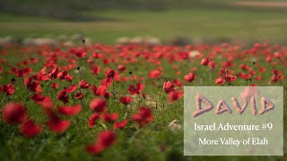 David  Israel Adventure  Back to The Valley of Elah [upl. by Banquer]