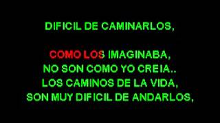 Camboy Estevez Los Caminos De La Vida by ENCE PISTA [upl. by Myles]