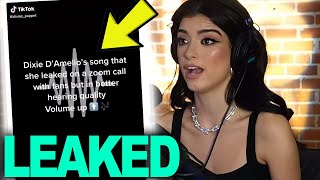 Dixie Damelio Fan Leaks Unreleased Song  Hollywire [upl. by Harberd]