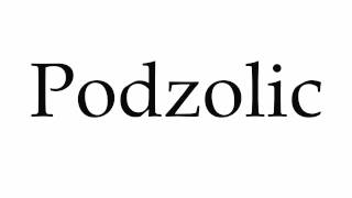 How to Pronounce Podzolic [upl. by Eiznek]