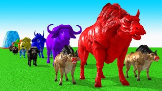 Paint Animals Cow CartoonBuffaloBullyakOxFountain Crossing Animal Game [upl. by Christenson]