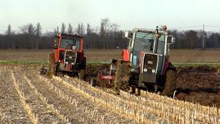 MF 1105 and 2645 plowing [upl. by Ysnap]