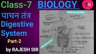 जीव विज्ञान BIOLOGYCH7 पाचन तंत्रDigestive System PART2 SSC RLY BSSC BPSC by Rajesh sir [upl. by Hum]