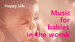 Music for the fetus in the Womb Pregnancy music for the stability of the baby and mothers Health [upl. by Thun155]