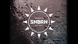 SNBRN  Raindrops Radio Edit [upl. by Tildi]