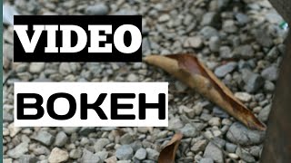 VIDEO BOKEH [upl. by Odla]