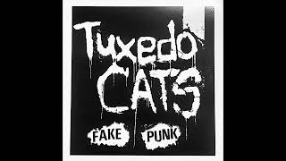 Tuxedo Cats  Fake Punk EP [upl. by Nasar]