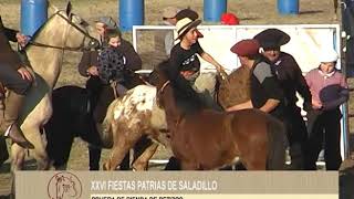 3 XXVI FIESTAS PATRIAS DE SALADILLO PRUEBA DE RIENDAS DE PETIZOS [upl. by Zetnas]