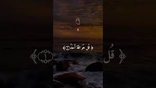 Recite Qul shareef  Quran paak beshak islamicfigure  cooking with NAINA like it [upl. by Gabor]