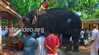 Honouring Guruvayoor Padmanabhan Changanacherry Kerala [upl. by Ellennahs]