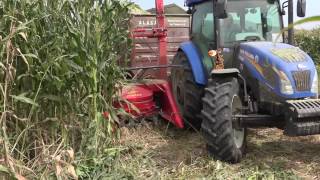 FIMAKS BIGDRUM 1250 2 SIRA MISIR SİLAJ  2 ROWS MAIZE CHOPPER [upl. by Nike]