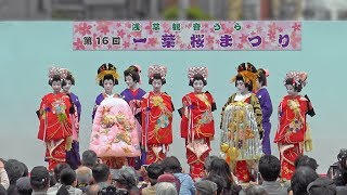 江戸吉原おいらん道中 2018 Edo Yoshiwara Oirandochu Procession [upl. by Ev]