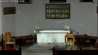 Live Basilica SantEufemia  GRADO [upl. by Screens]