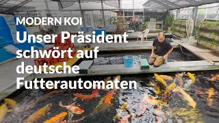 So füttert Joji Konishi seine Koi in der Glashausaufzucht  Modern Koi Blog 6995 [upl. by Ahseekan]