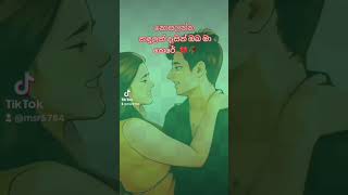 නොසැලෙන්න කඳුළක් දෑසින්nosalenna kadulak desin oba maa kere sinhala song  animation couple [upl. by Pendergast]