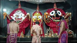 ଆଜି 📅 20Oct2024  🙏 Sandhya Aarti Darshan Jagannath Puri [upl. by Hambley]