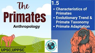 15 Characteristics of Primates Evolutionary Trend and Primate Taxonomy Primate Adaptation  UPSC [upl. by Sanders397]