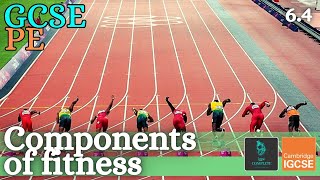 GCSE PE  COMPONENTS OF FITNESS  Healthrelated amp skillrelated  Health Fitness amp Training 64 [upl. by Jamil402]