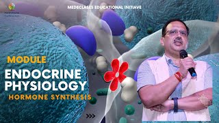 MedEClasses Module Hormone Synthesis [upl. by Seldon605]