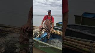 Pescador Artur com cisco e langanho resultado da limpeza da rede de pesca Imbé RS pescador [upl. by Ap]