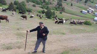 yüreklere işleyen türküler  dertli köy türküleri quot çok özel köy türküleri✔️ [upl. by Aymahs87]