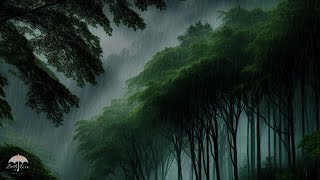 Rain Sounds For Sleeping  99 Instantly Fall Asleep With Rain Sound in The Shady Tree Today 2 [upl. by Snehpets]