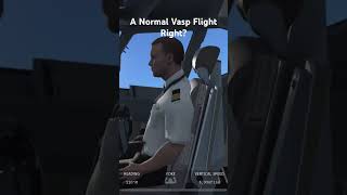 A Normal Vasp Flight Right aviation flight emergencylanding [upl. by Starobin]