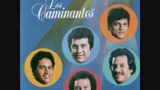 los caminantes lloraremos los dos0001wmv [upl. by Rehsu]