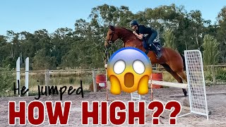 HOW HIGH can my HORSE JUMP  Thoroughbred High Jump [upl. by Artiek]