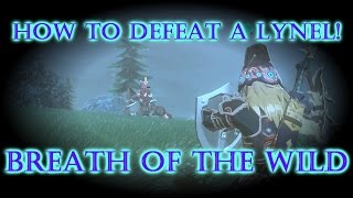 Lynel Fight  How to Defeat a Lynel REVENGE Breath of the Wild [upl. by Acinor606]